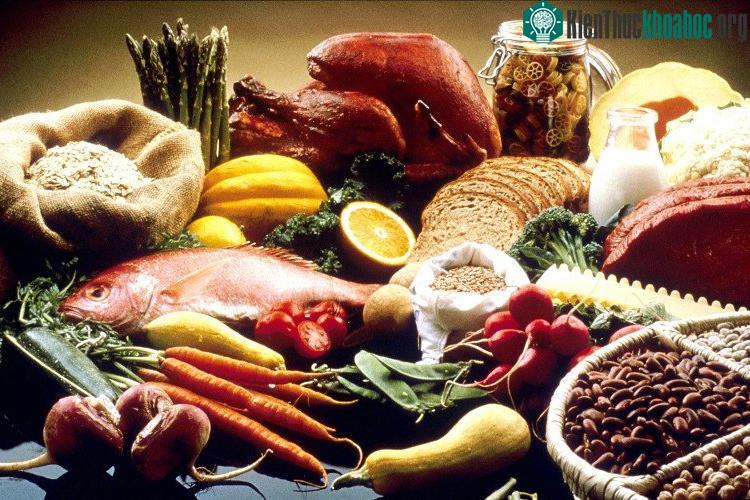 Thói quen ăn uống của con người có thể do não bộ của chúng ta chi phối.