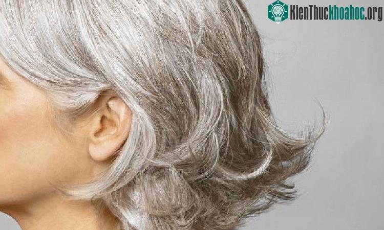 Trong thời đại áp lực, stress cũng có thể khiến bạn bạc tóc.