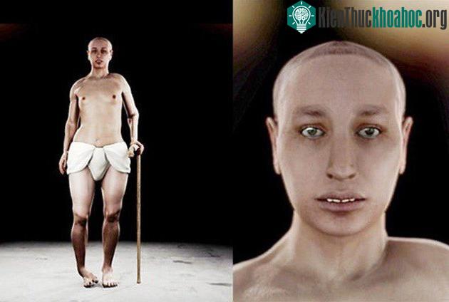 Còn đây mới chính là diện mạo và vóc dáng của vua Tutankhamun.
