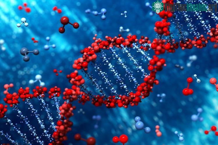 Các nhà khoa học cho biết họ đã phát minh ra 1 cặp mới, phi tự nhiên: X-Y.