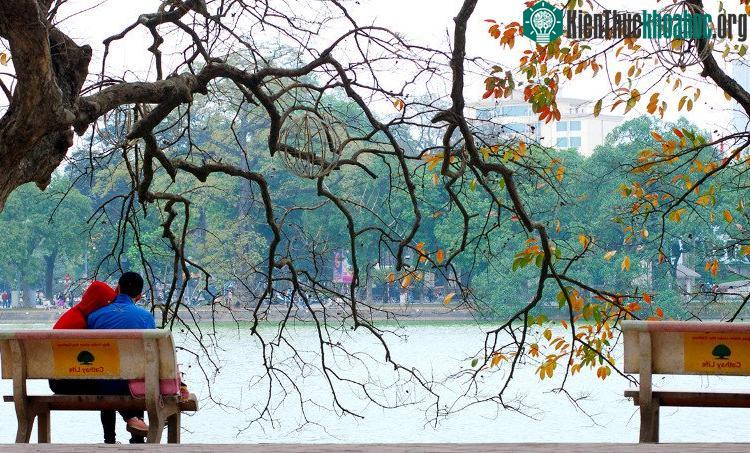 Những khoảnh khắc mùa đông Hà Nội ảnh 1
