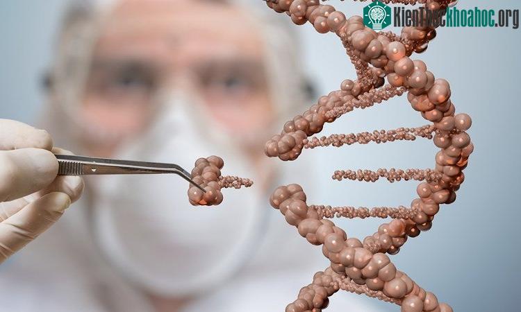 Công nghệ chỉnh sửa gene CRISPR