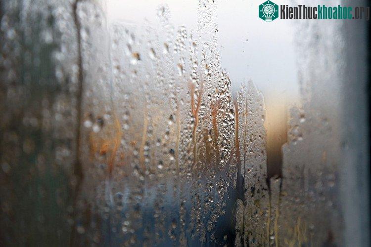 Các nhà dự báo thời tiết thường sử dụng các từ "độ ẩm tuyệt đối" và "độ ẩm tương đối" trong các bản tin.