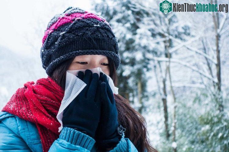 Bạn có thể mất tới 300-400 mlnước mũi hàng ngày mỗi khi cơ chế bảo vệ khoang mũi trên được kích hoạt.