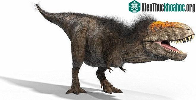 Hình ảnh khủng long bạo chúa sau khi đã phục dựng.