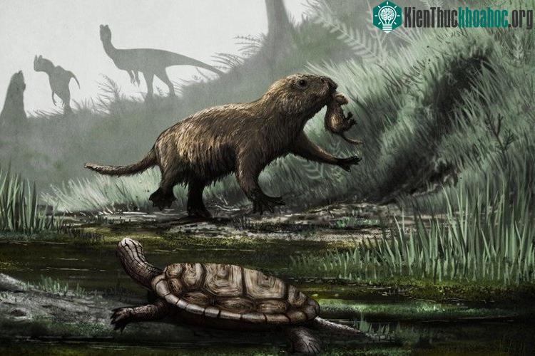 Các loài động vật có vú phần lớn là sinh vật ban đêm cho đến khi khủng long bị tuyệt diệt bởi một tiểu hành tinh khoảng 66 triệu năm trước. (Ảnh: Mark Witton).