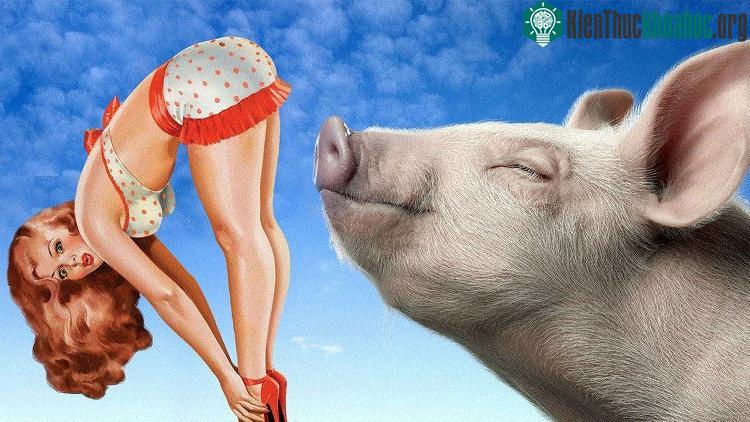 Mặc dù có mùi hôi khó ngửi nhưng ta không thể phủ nhận được khả năng tuyệt vời của chúng trong việc chăm sóc sức khỏe.