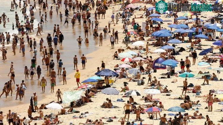 Nắng nóng bao trùm thành phố Sydney, Úc.
