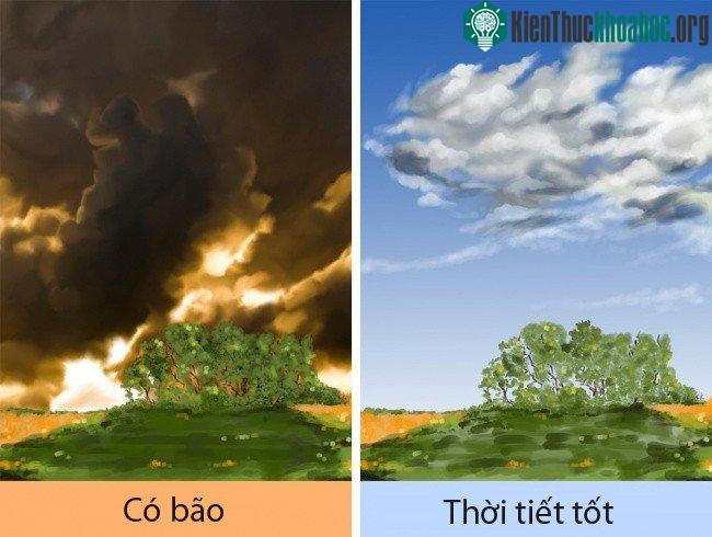 Cách nhận biết một cơn bão mạnh đang tới