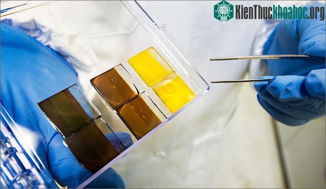 Perovskite.