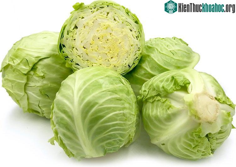 Bắp cải hoặc các loại rau họ cải là nguồn cung cấp rất nhiều vitamin K.