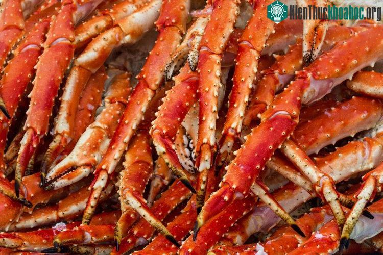 Với cua hoàng đế, chân và càng là những nơi ngon nhất.