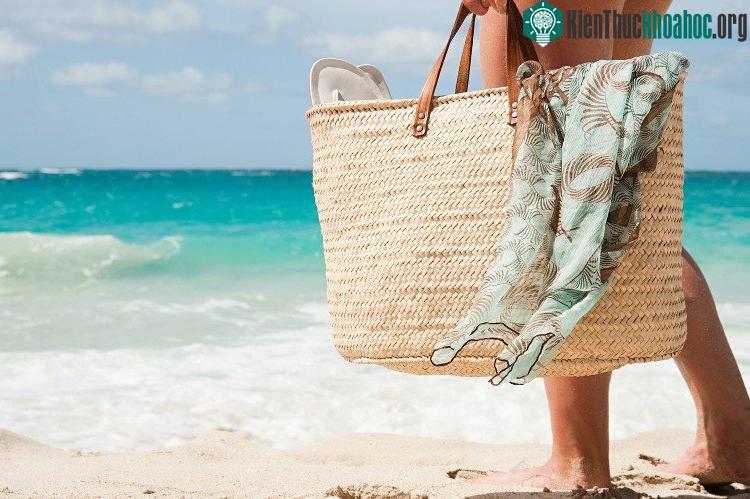 Chúng ta tích mỡ vào mùa đông và rồi đốt chúng đi trong mùa hè.