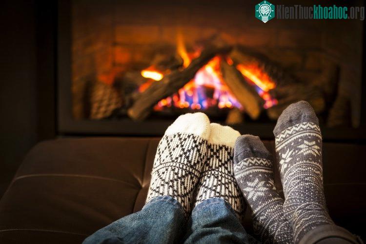 Nên dùng một máy giữ độ ẩm trong phòng và luôn để nhiệt độ trong phòng ở mức vừa phải, không nên để quá nóng.