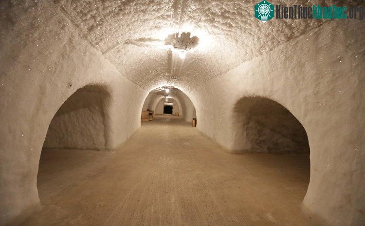 Diện tích của đường hầm này lên tới 7.000m 2 .