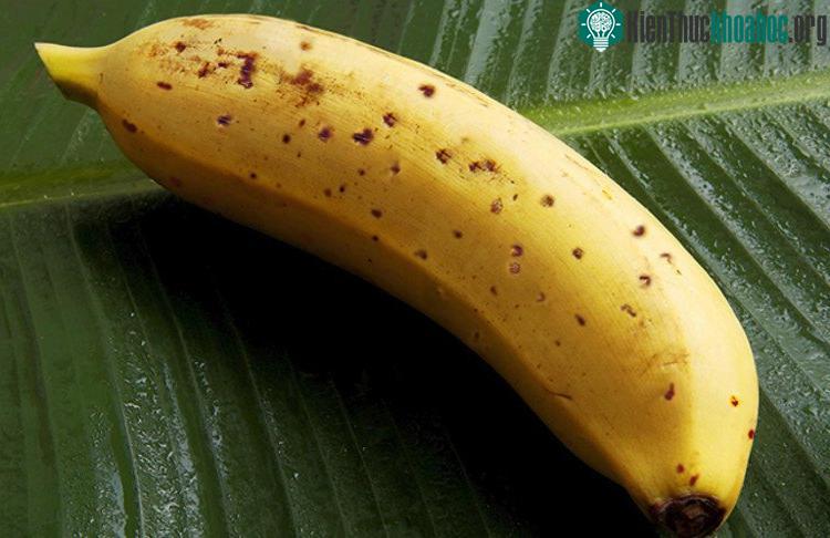 Vỏ chuối chứa vitamin B6 và Mg, các vi chất giúp tổng hợp chất dẫn truyền thần kinh serotonin.