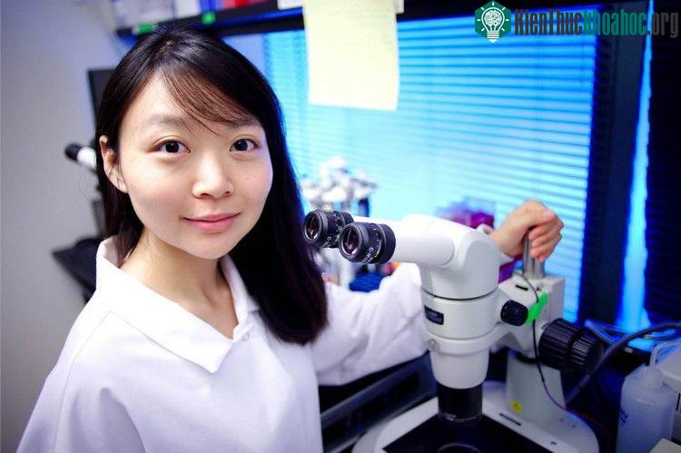 Đây sẽ là bước đi đầu tiên đến ngày mà chúng ta có thể chỉnh sửa và loại bỏ các bệnh do gene gây ra.