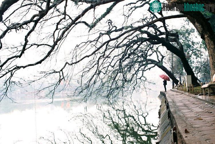 Những khoảnh khắc mùa đông Hà Nội ảnh 2