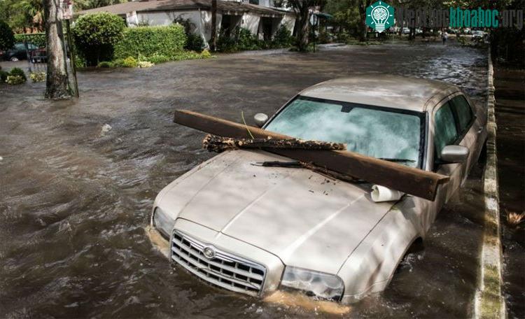 Siêu bão Irma tàn phá Florida, nước Mỹ hồi tháng 9.