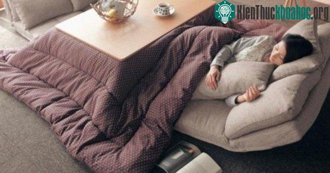 Có rất nhiều loại kotatsu, từ loại nhỏ sát sàn nhà để cho chân vào, đến loại to như cái bàn ăn cỡ lớn.