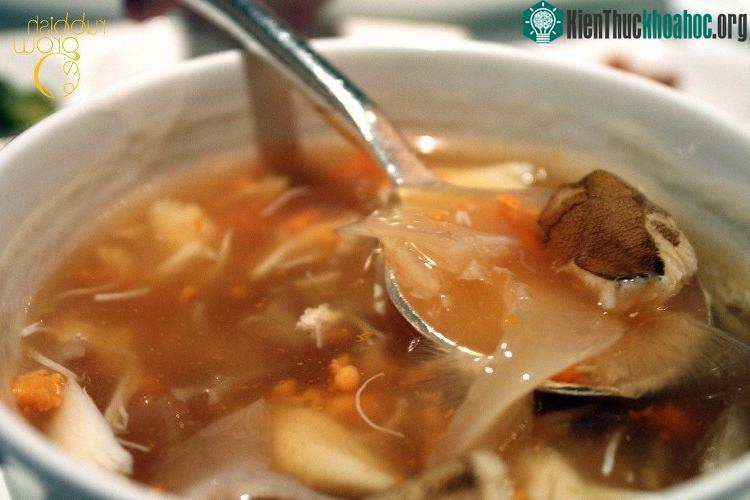 Súp vi cá gây tranh cãi rất nhiều vì sự tàn nhẫn trong quá trình đánh bắt cá.