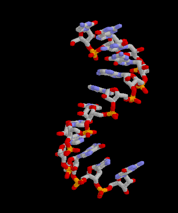 mARN có chức năng sao chép thông tin di truyền từ gen cấu trúc đến Riboxom - nơi tổng hợp protein.