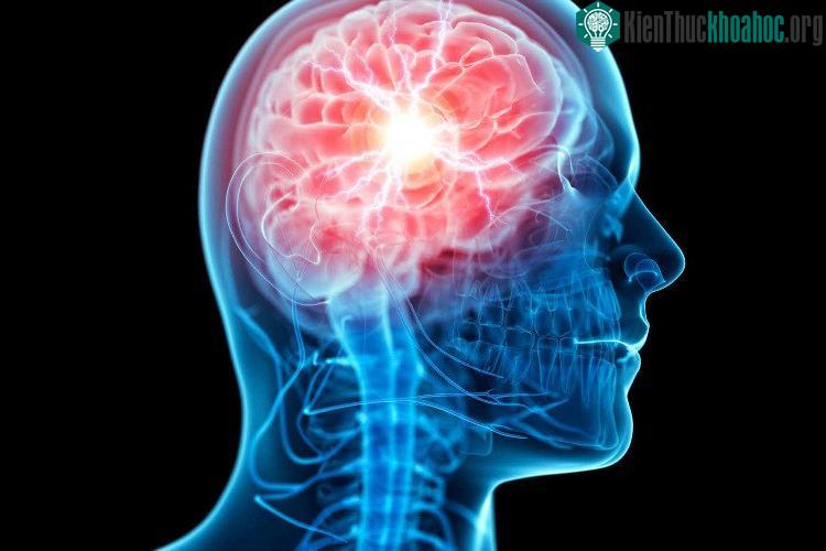 Chúng ta bắt ép não bộ dung nạp vào quá nhiều thứ cùng lúc khiến nó ghi nhớ không kịp.
