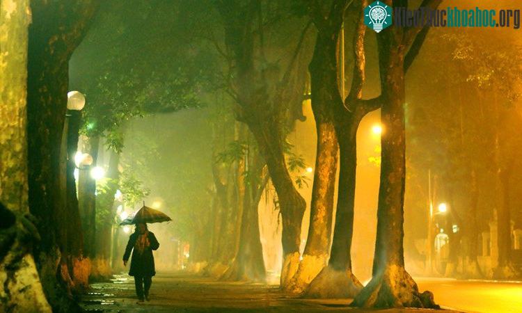 Những khoảnh khắc mùa đông Hà Nội ảnh 21
