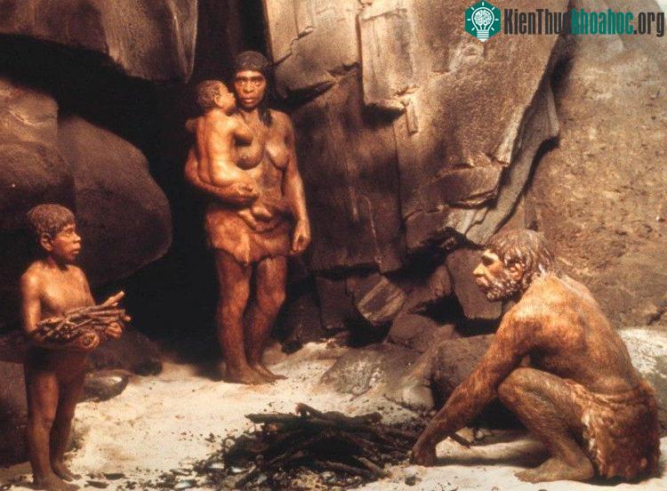 Hành vi hiện đại hơn như sử dụng dao, đánh cá ở biển sâu và nghệ thuật hang động đã có từ trước cuộc di cư lớn. (Ảnh: News Leak Center).