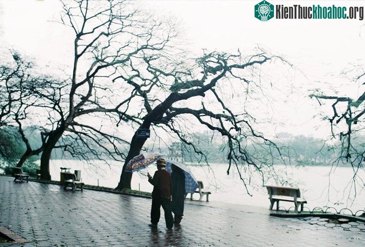 Những khoảnh khắc mùa đông Hà Nội ảnh 3