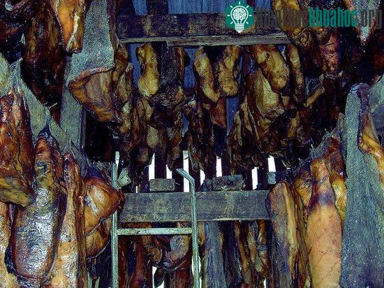 Thịt cá mập chưa qua chế biến chứa hàm lượng urea và oxit trimethylamine rất cao.
