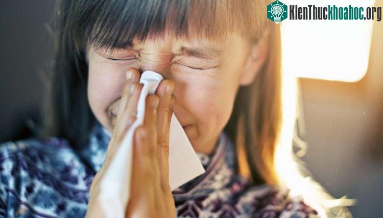 Độ ẩm cao trong thời gian dài dễ dẫn đến nhiễm lạnh. (Ảnh: Blog - Reliance Home Comfort).