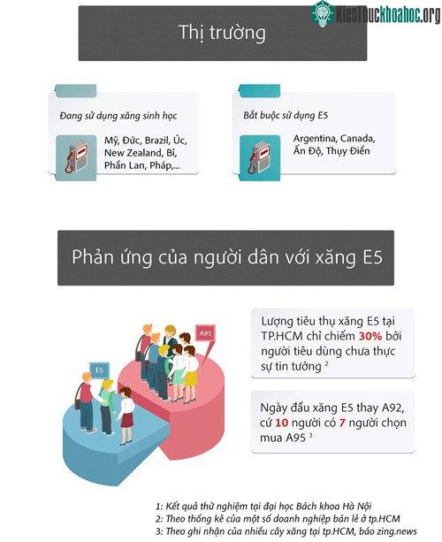 Các nước như Ấn Độ, Argentina, Thụy Điển Canada... người dân bắt buộc phải sử dụng xăng E5.