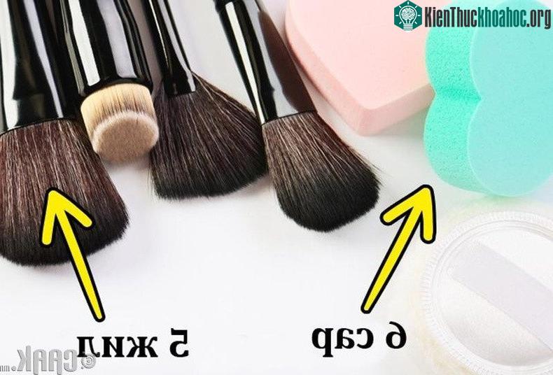 Cọ và mút đánh phấn