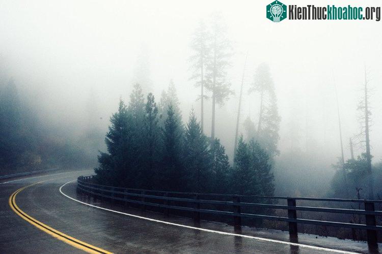 Giá trị độ ẩm tương đối là 100% nghĩa là không khí không thể bổ sung thêm độ ẩm nữa.