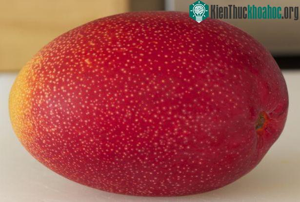Chỉ có những trái xoài có trọng lượng tối thiểu 350g và với mức đường tối thiểu là 15% mới được dán nhãn Taiyo no Tamago.