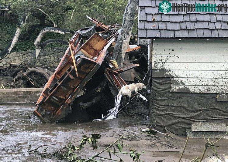 Hoạt động sơ tán khẩn trương diễn ra ở những khu vực chịu hỏa hoạn