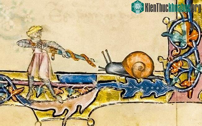 Động vật cũng bị kết tội như con người