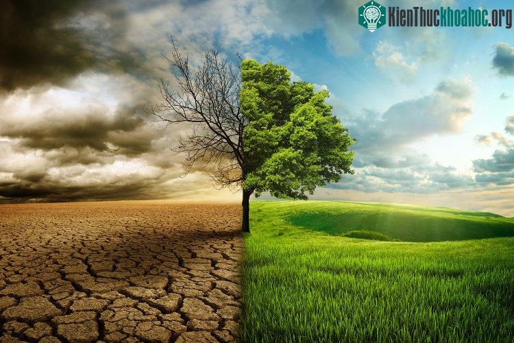 Biến đổi khí hậu