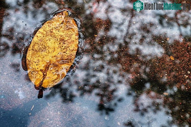 Những khoảnh khắc mùa đông Hà Nội