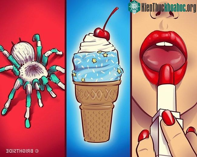 Không thể bỏ qua 3 điều trong cuộc sống: thức ăn, tình dục và nguy hiểm