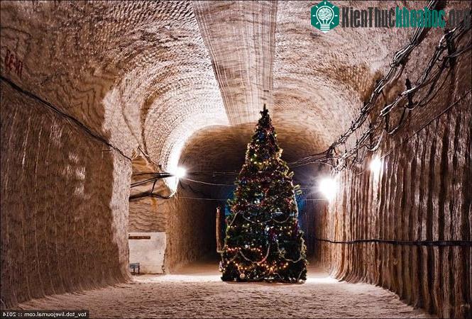 Cây thông noel lung linh dưới ánh đèn.