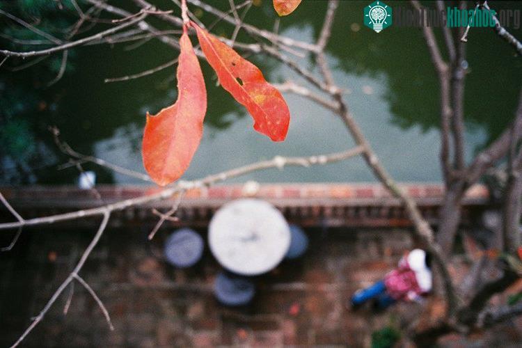 Những khoảnh khắc mùa đông Hà Nội ảnh 7