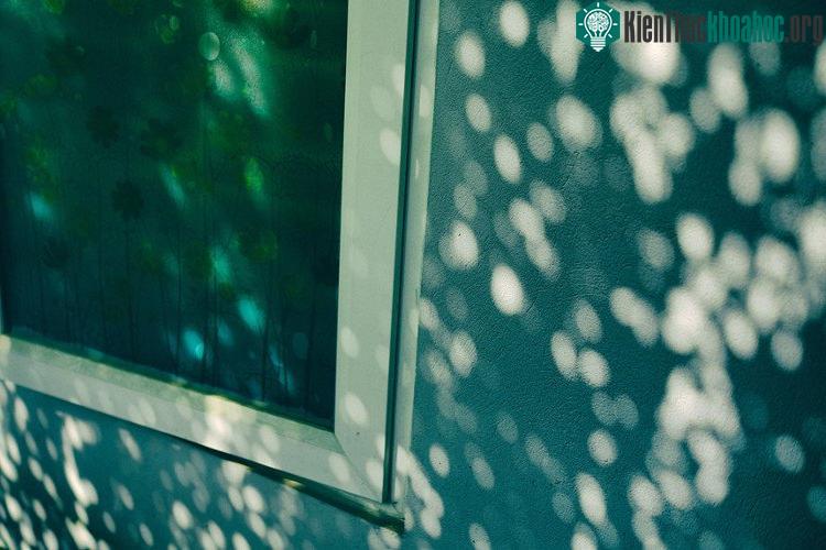 Những khoảnh khắc mùa đông Hà Nội