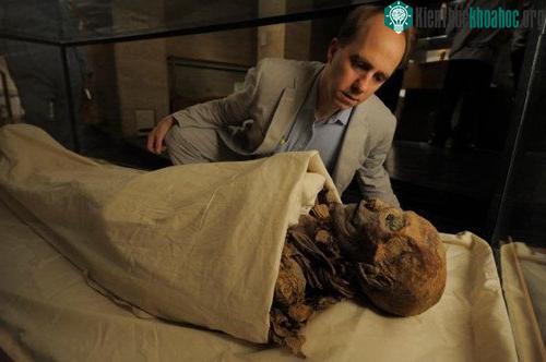 Hatshepsut là nữ pharaoh cai trị Ai Cập từ năm 1479 đến năm 1458 TCN. Trong khi mộ của bà được phát hiện vào năm 1903, đến năm 2006, xác ướp của bà mới được xác nhận.