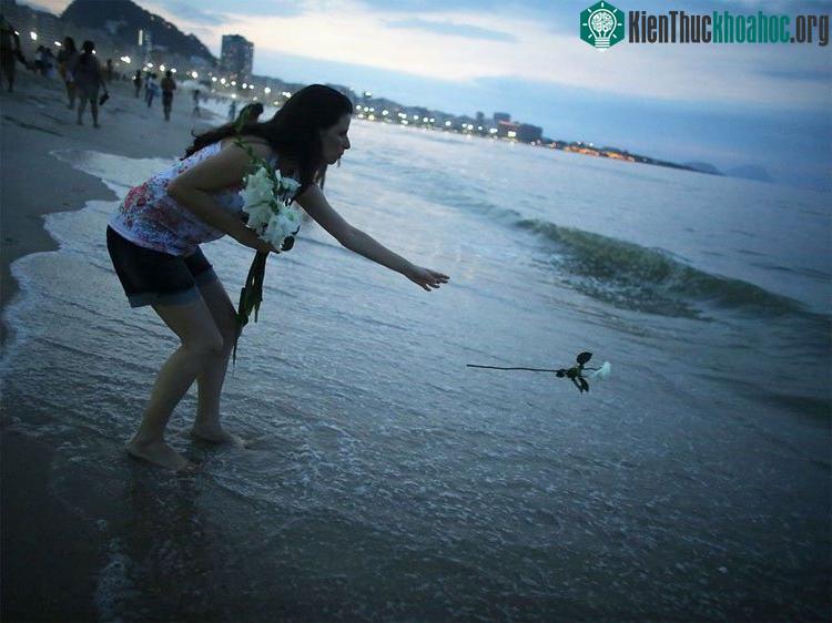 Ném những bông hoa trắng xuống biển