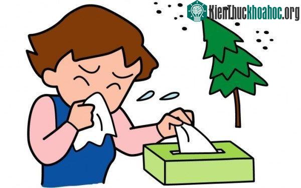 Để phòng bệnh, người dân cần hạn chế đến chỗ đông người khi có dịch để phòng lây lan.