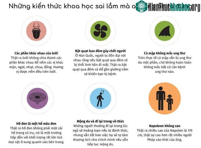 Napoleon không hề lùn, chiều cao của ông là 170cm, cao hơn nhiều người Pháp lúc bấy giờ.