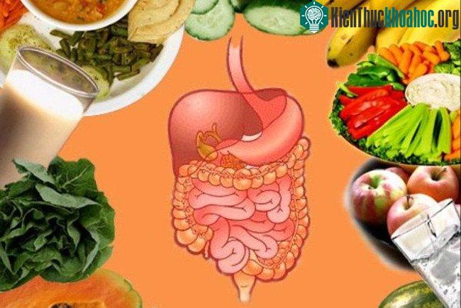 Người mắc bệnh về tiêu hóa thường có cảm giác ăn không ngon miệng, chán ăn, nhanh no.