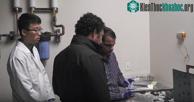 các nhà nghiên cứu người Mỹ gốc Á từ Viện Vật liệu nano Clemson (CNI)